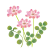 れんげ草　透過PNG