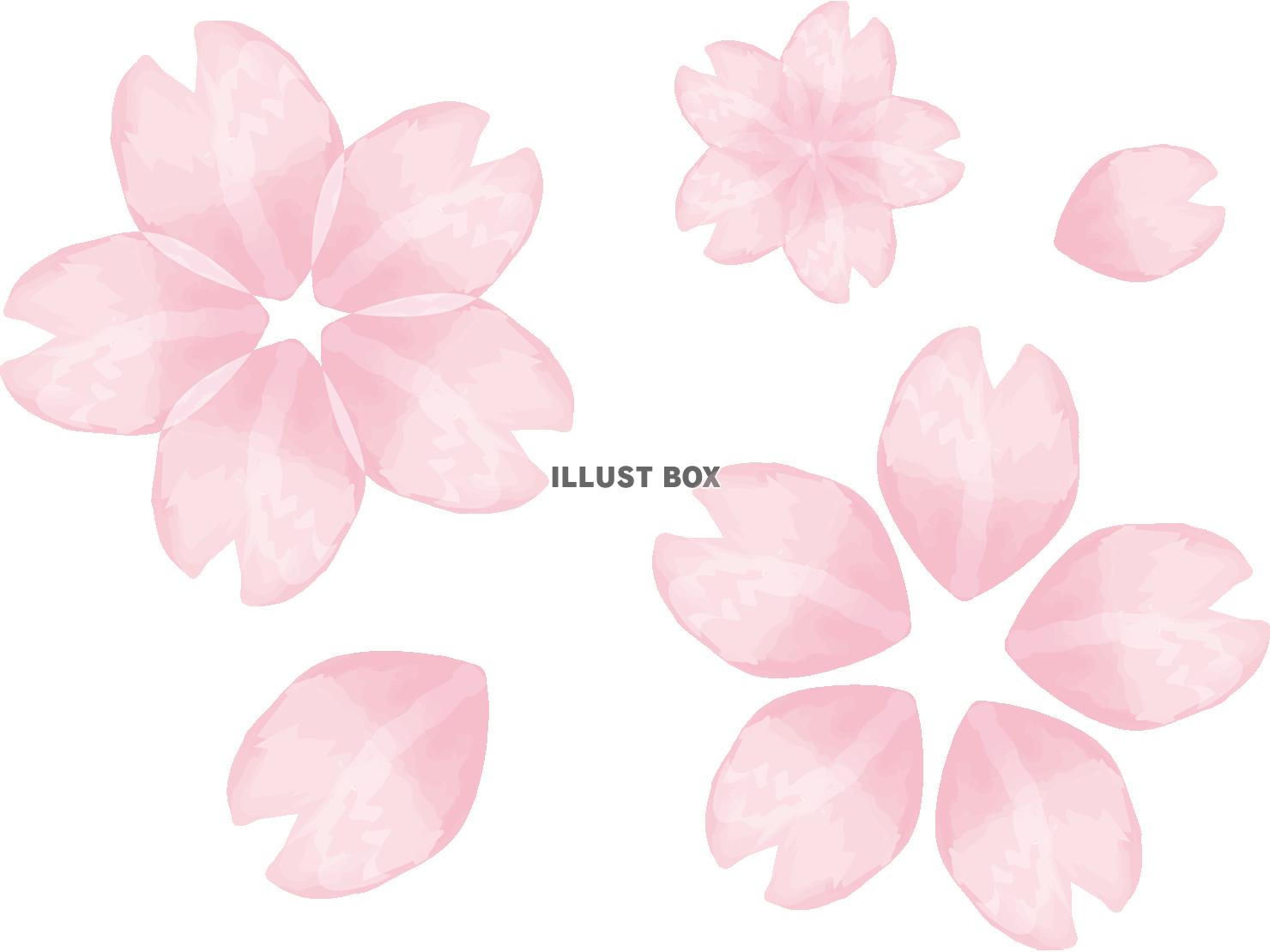 無料イラスト 桜さくら花水彩和風日本筆滲みにじみ年賀状素材ピンク色桃色きれ