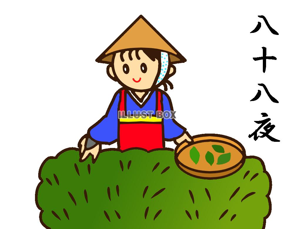 八十八夜　茶摘みイラスト　透過png