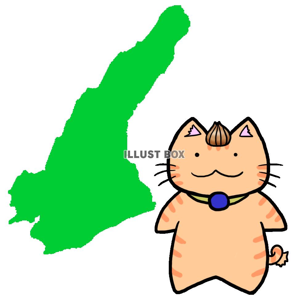 【淡路島】猫