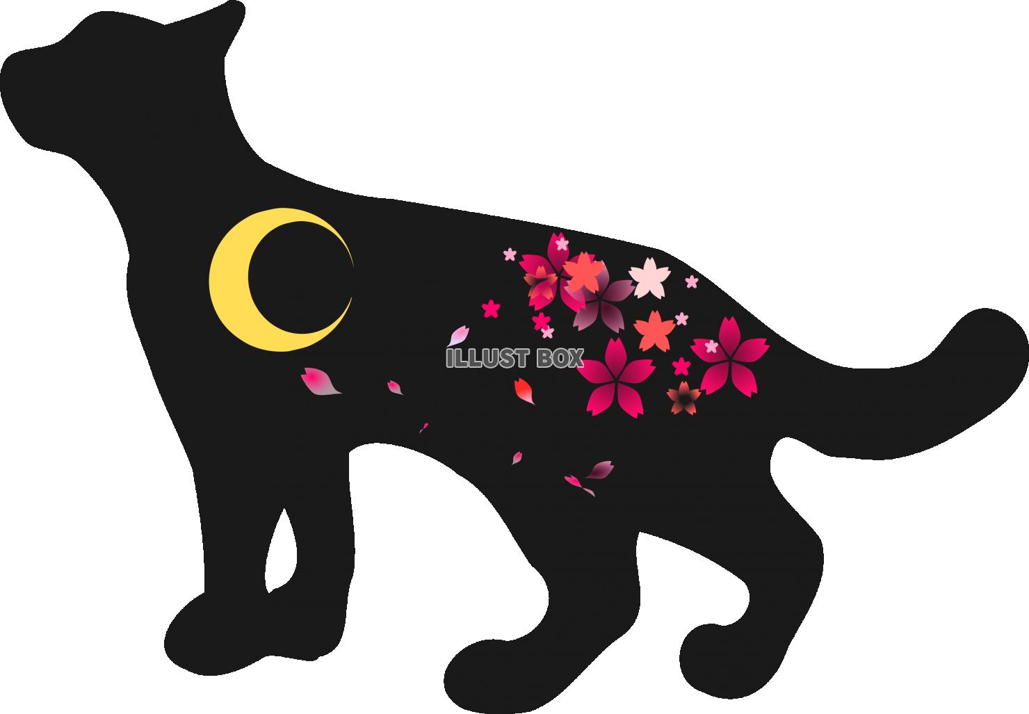 猫の夜散歩【PNG】