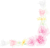 母の日カーネーションの花コーナー用(png）