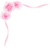 母の日カーネーションの花コーナー用(png）