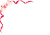 母の日カーネーションの花(png）