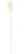 母の日カーネーションの花つぼみ(png）