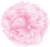 母の日カーネーションの花(png・CSeps）