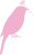 母の日カーネーションの花と小鳥(png・CSeps）