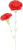 母の日カーネーションの花(png・CSeps）