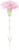 母の日カーネーションの花(png・CSeps）