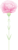 母の日カーネーションの花(png・CSeps）