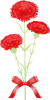 母の日カーネーションの花(png・CSeps）