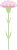 母の日カーネーションの花(png・CSeps）