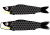 こいのぼり　黒【透過png】