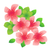 つつじの花　透過ＰＮＧ