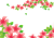 つつじ満開　透過ＰＮＧ