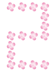 花数字２