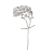 カーネーション14