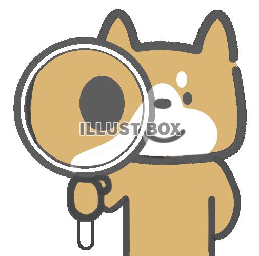 虫眼鏡を持つ柴犬くん。（透過PNG)