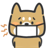 風邪気味の柴犬くん。（透過PNG)