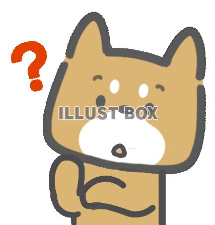 ハテナ顔の柴犬くん。（透過PNG)