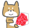 母の日柴犬くん01（透過PNG)