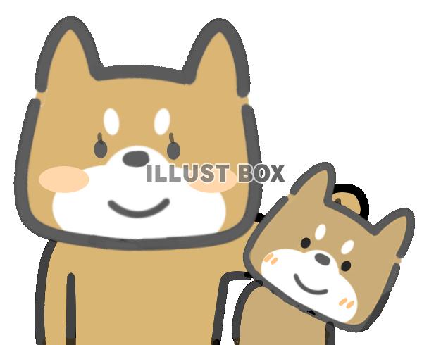 柴犬親子（透過PNG）