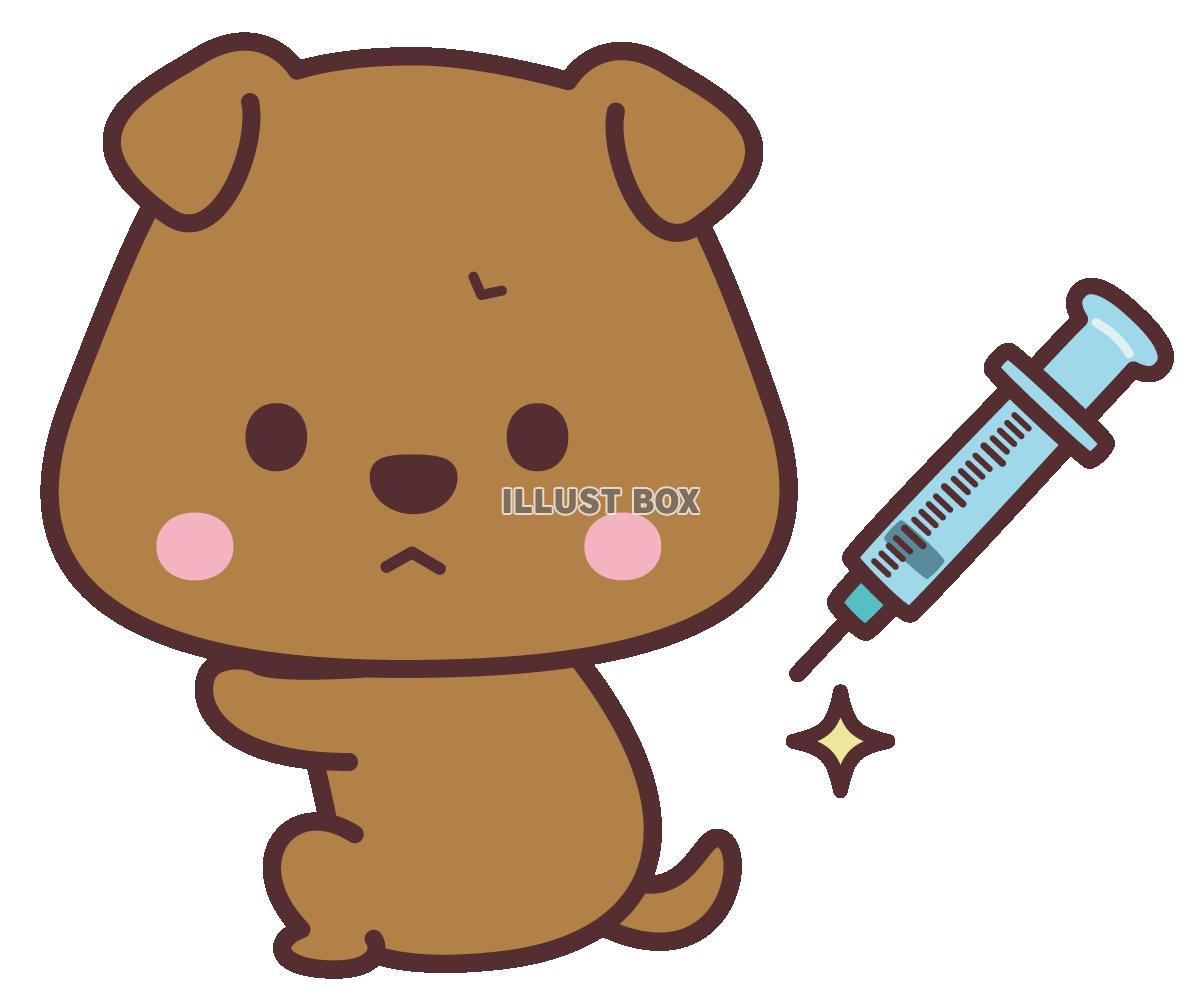 無料イラスト 犬の予防接種