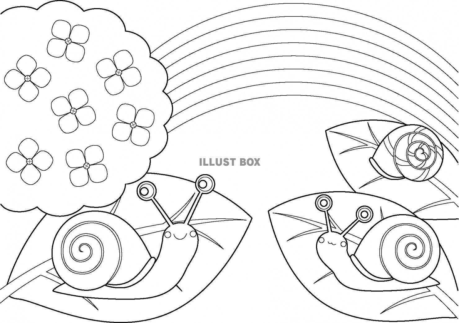 無料イラスト カタツムリとアジサイと虹の塗り絵