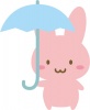 うさぎ　雨