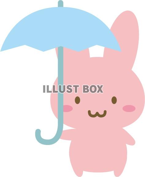 うさぎ　雨