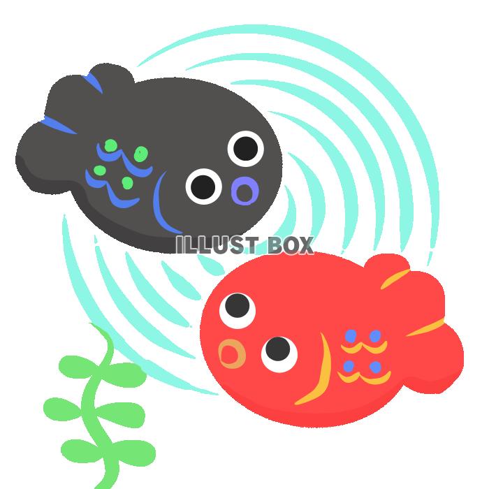 金魚イラスト　透過png