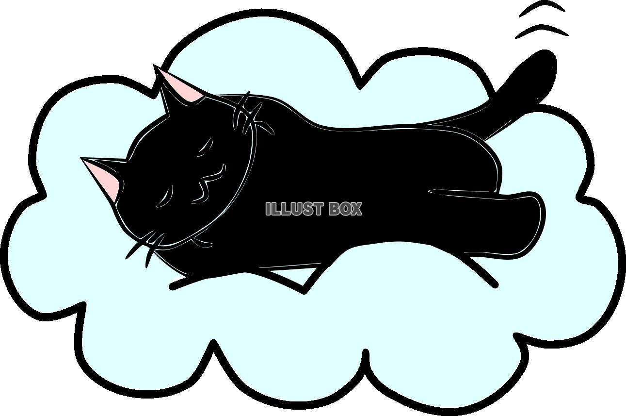雲の上の黒猫さん