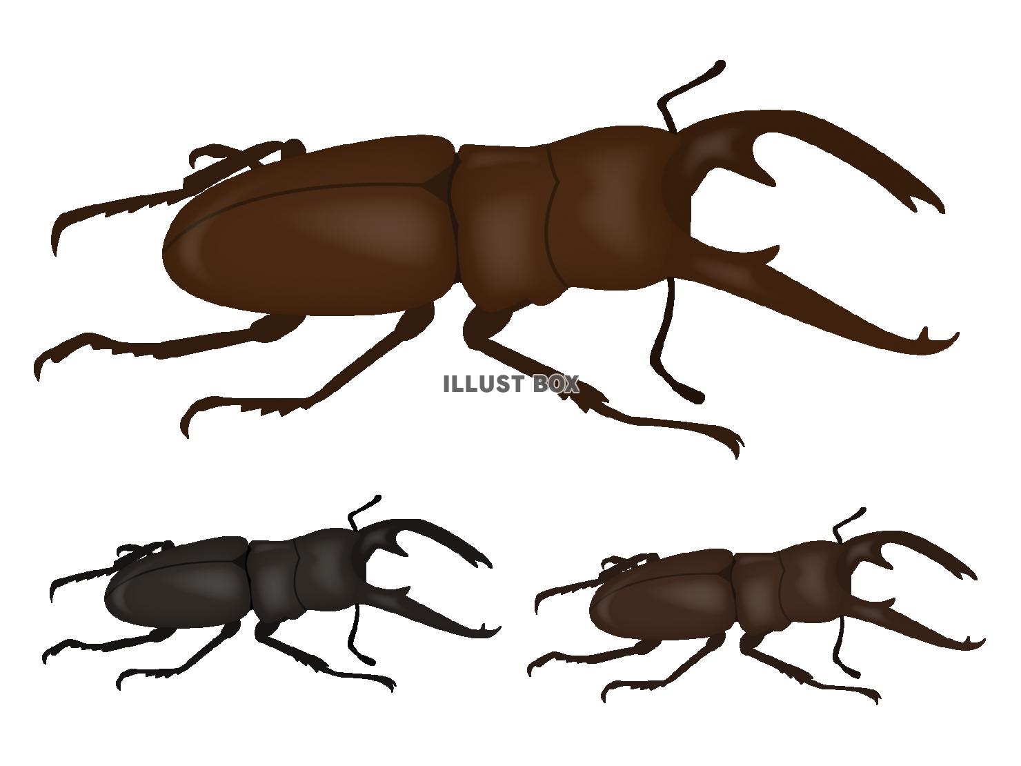 クワガタ イラスト無料