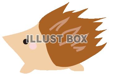 ハリネズミ 1