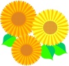 夏の花(ひまわり集合)2・jpeg画像