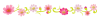 秋の花のライン素材　コスモス　透過PNG