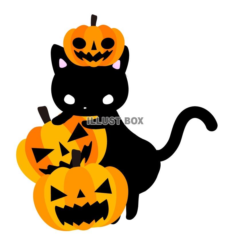 無料イラスト ハロウィンかぼちゃランタンと黒猫のイラスト