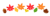 もみじどんぐりライン　透過png