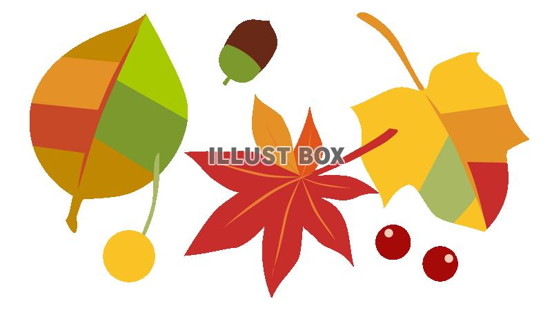 無料イラスト 色づく秋の葉っぱ 透過png