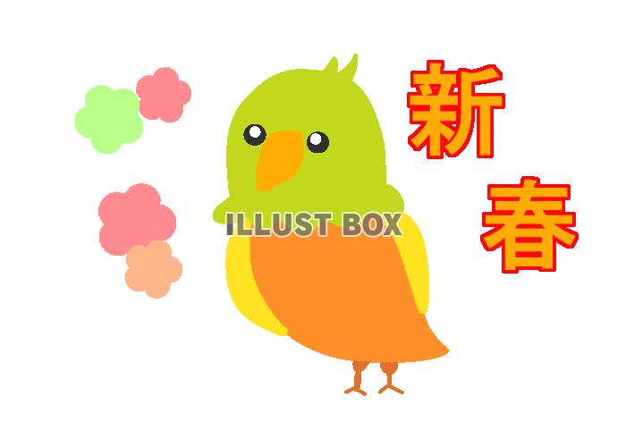 インコ新春　透過png