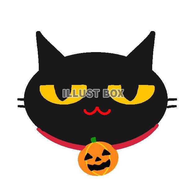 黒猫とかぼちゃ　透過png