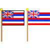 リクエスト素材　ハワイ州旗1
