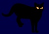 闇夜の黒猫