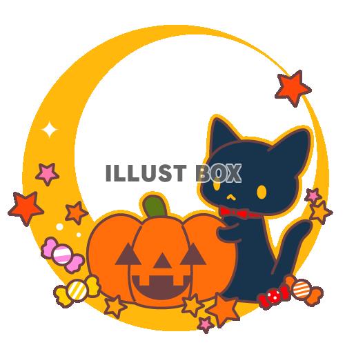 ハロウィン・猫・かぼちゃランタンのイラスト（透過PNG）