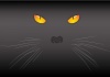 黒猫と眼