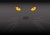 黒猫と眼