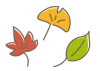 秋の葉っぱセット