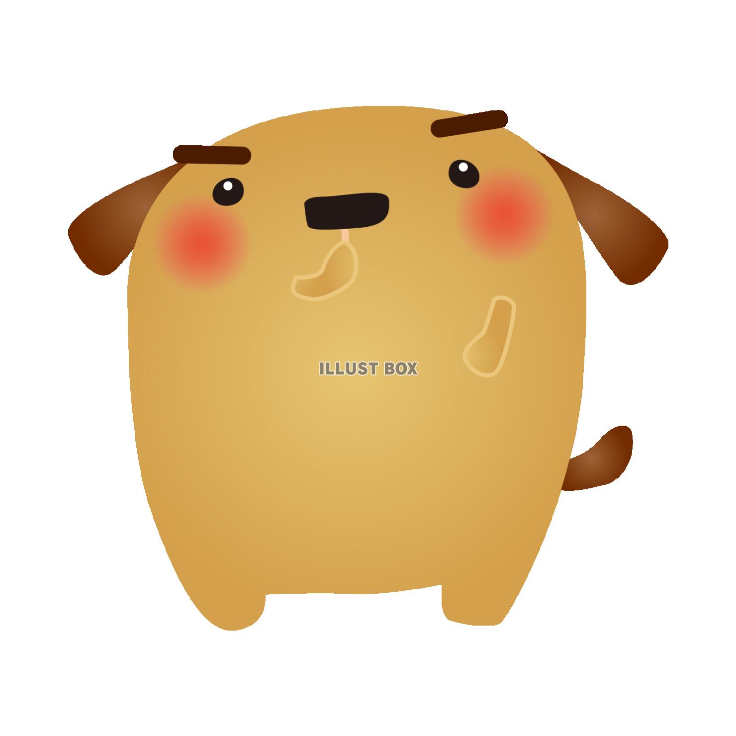 dog005