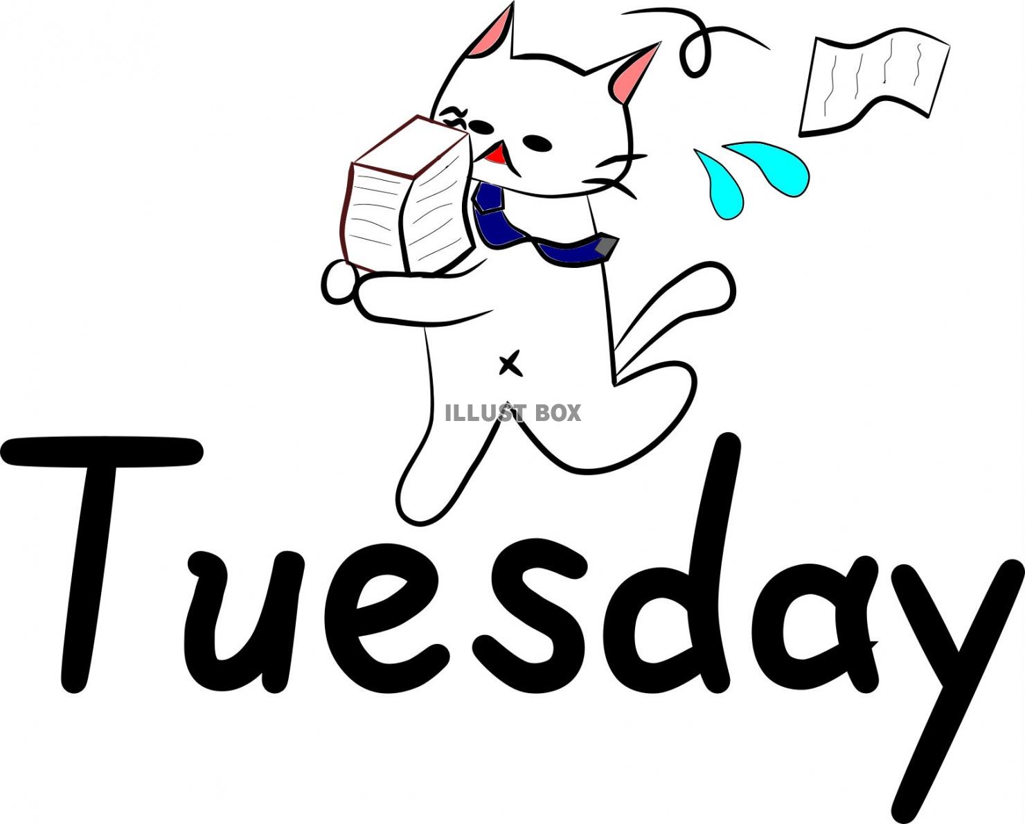 にゃんこ曜日。Tuesday【JPG】