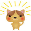 cat018